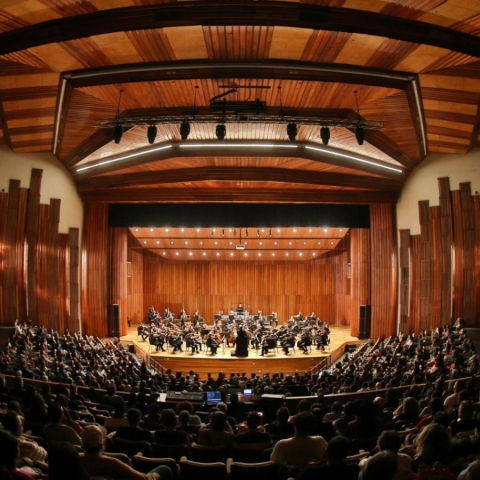 Concierto de la Filarmónica de Bogotá: Beethoven y Mendelssohn en el Auditorio Fabio Lozano y en el León de Greiff